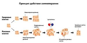 Химия при раке в Германии