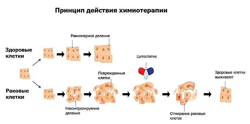 Химиотерапия восстановление организма