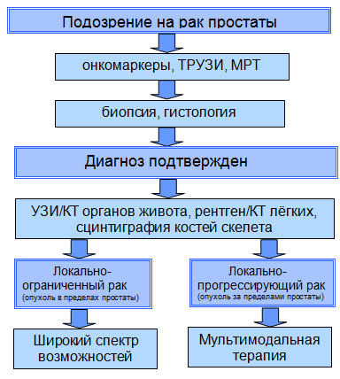 Доклад: Современные методы ультразвуковой диагностики рака предстательной железы